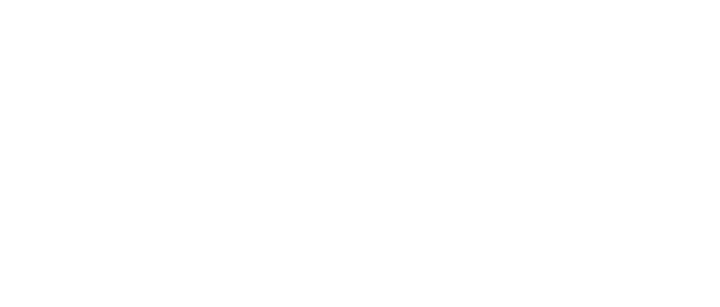 Beauty Vision Group